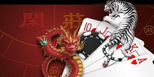 Cách thức chơi Rồng Hổ tại nhà cái KUBET