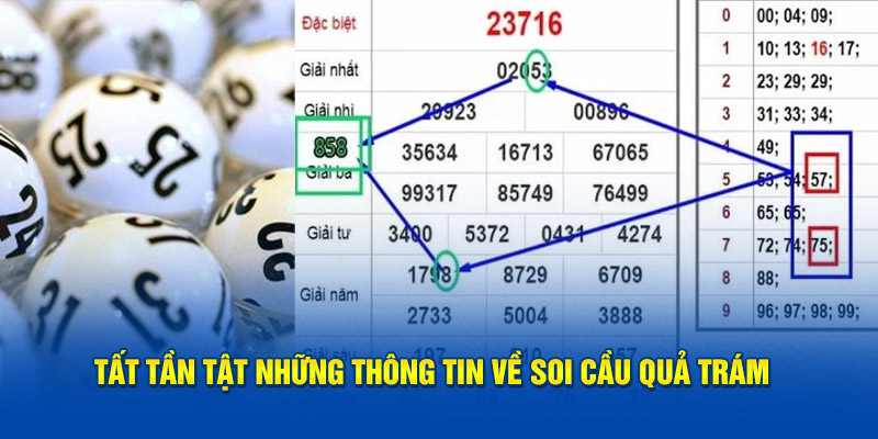 phương pháp soi cầu quả trám